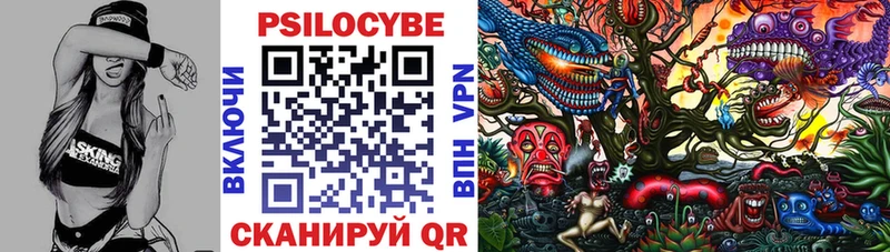 где найти наркотики  Свирск  Псилоцибиновые грибы Psilocybine cubensis 
